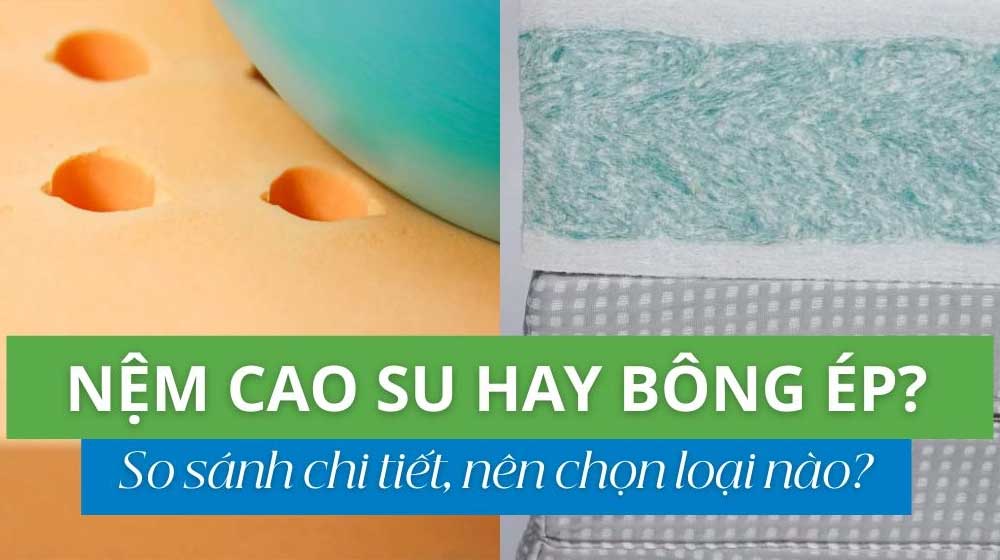 Nệm cao su hay nệm bông ép